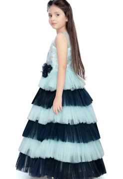 Embroidered Net Tiered Gown in Sky Blue and Blue
