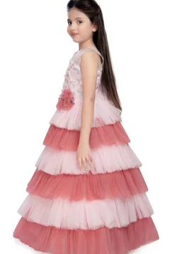 Embroidered Net Tiered Gown in Light Pink and Peach