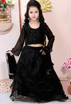 Embroidered Organza Flounced Lehenga in Black