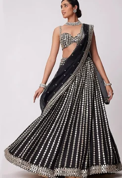 Embroidered Organza Lehenga in Black