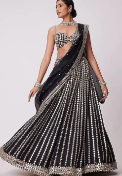 Embroidered Organza Lehenga in Black