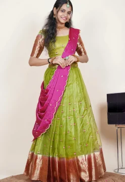 Embroidered Organza Lehenga in Light Olive Green