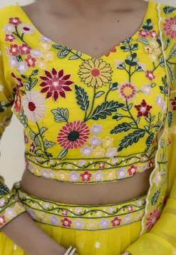Embroidered Organza Lehenga in Yellow
