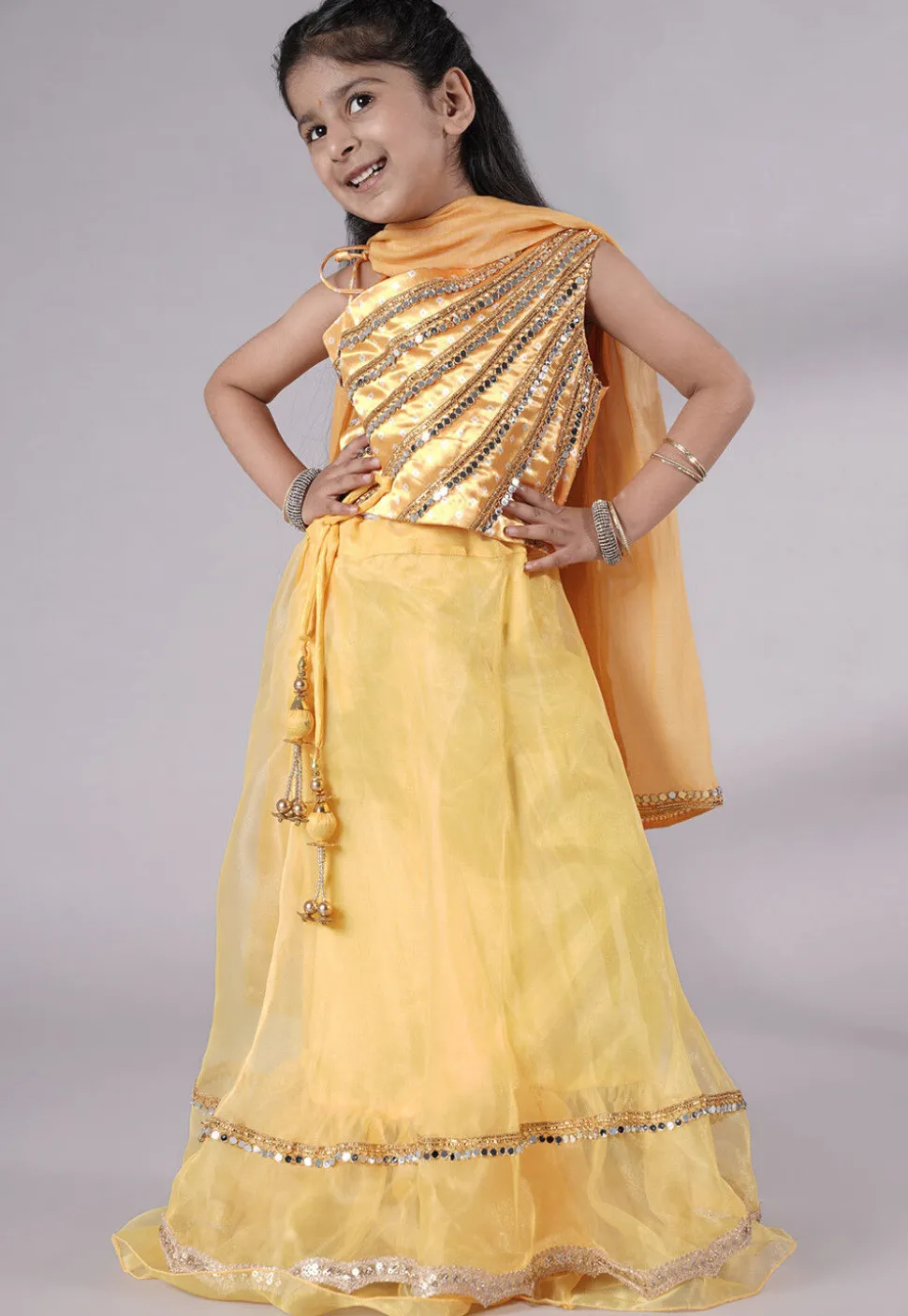 Embroidered Organza Lehenga in Yellow