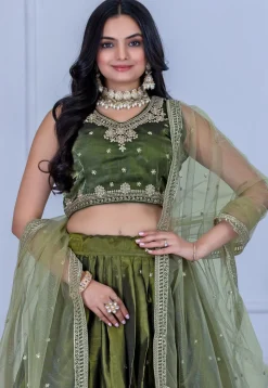 Embroidered Organza Lehenga in Olive Green