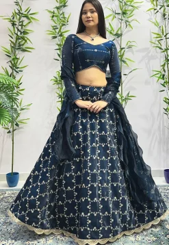 Embroidered Organza Lehenga in Navy Blue