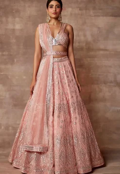Embroidered Organza Lehenga in Peach
