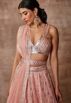 Embroidered Organza Lehenga in Peach