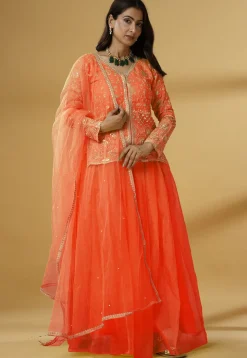 Embroidered Organza Lehenga in Orange