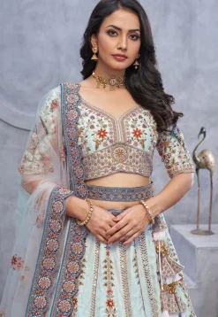 Embroidered Organza Lehenga in Sky Blue