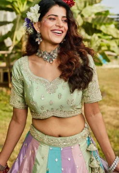 Embroidered Organza Lehenga in Multicolor