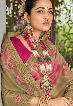 Embroidered Organza Saree in Beige