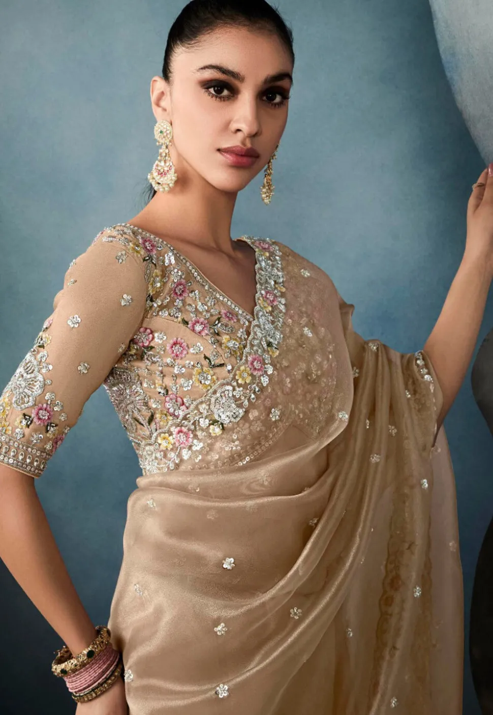 Embroidered Organza Scalloped Saree in Beige