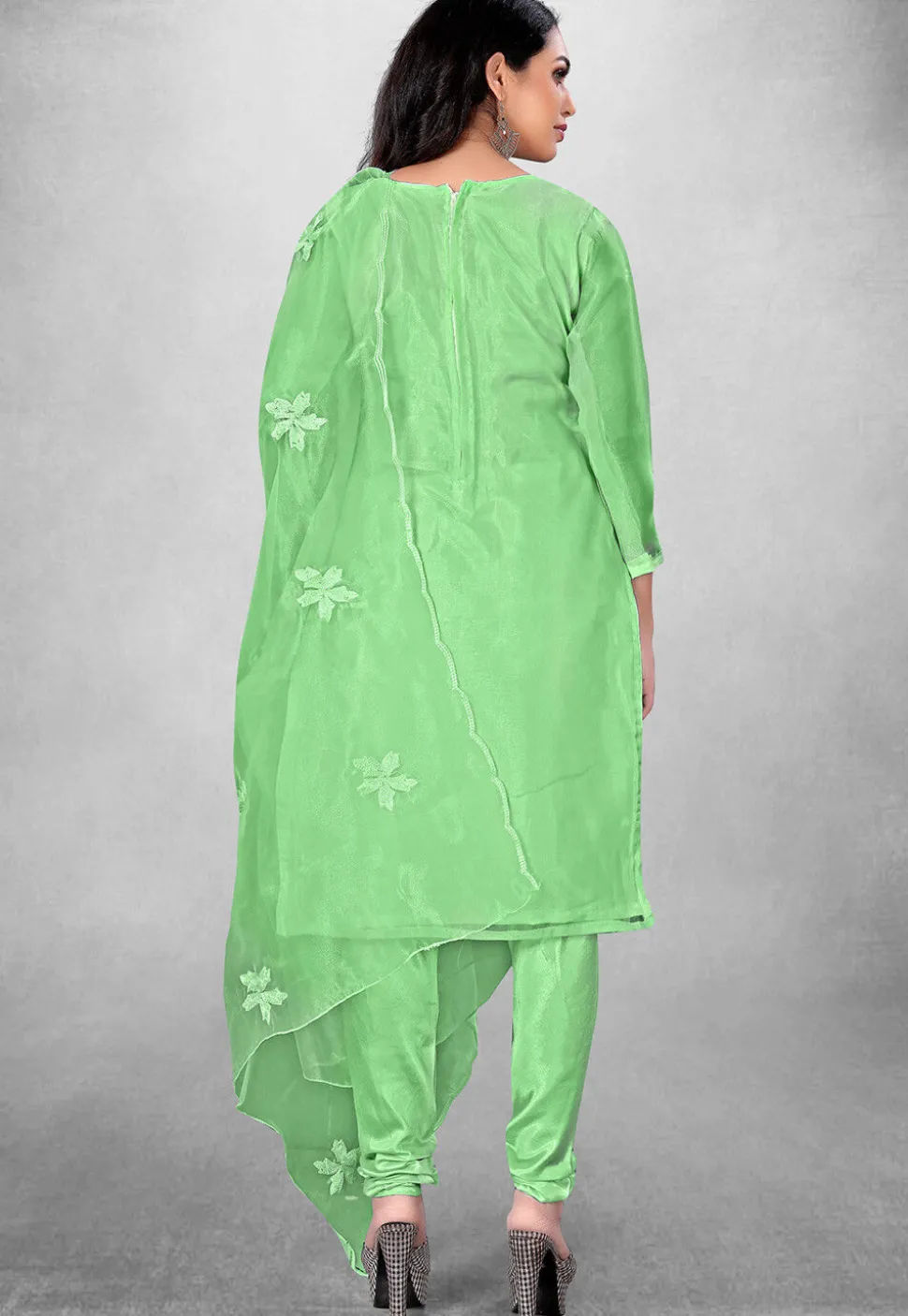 Embroidered Organza Straight Suit in Green