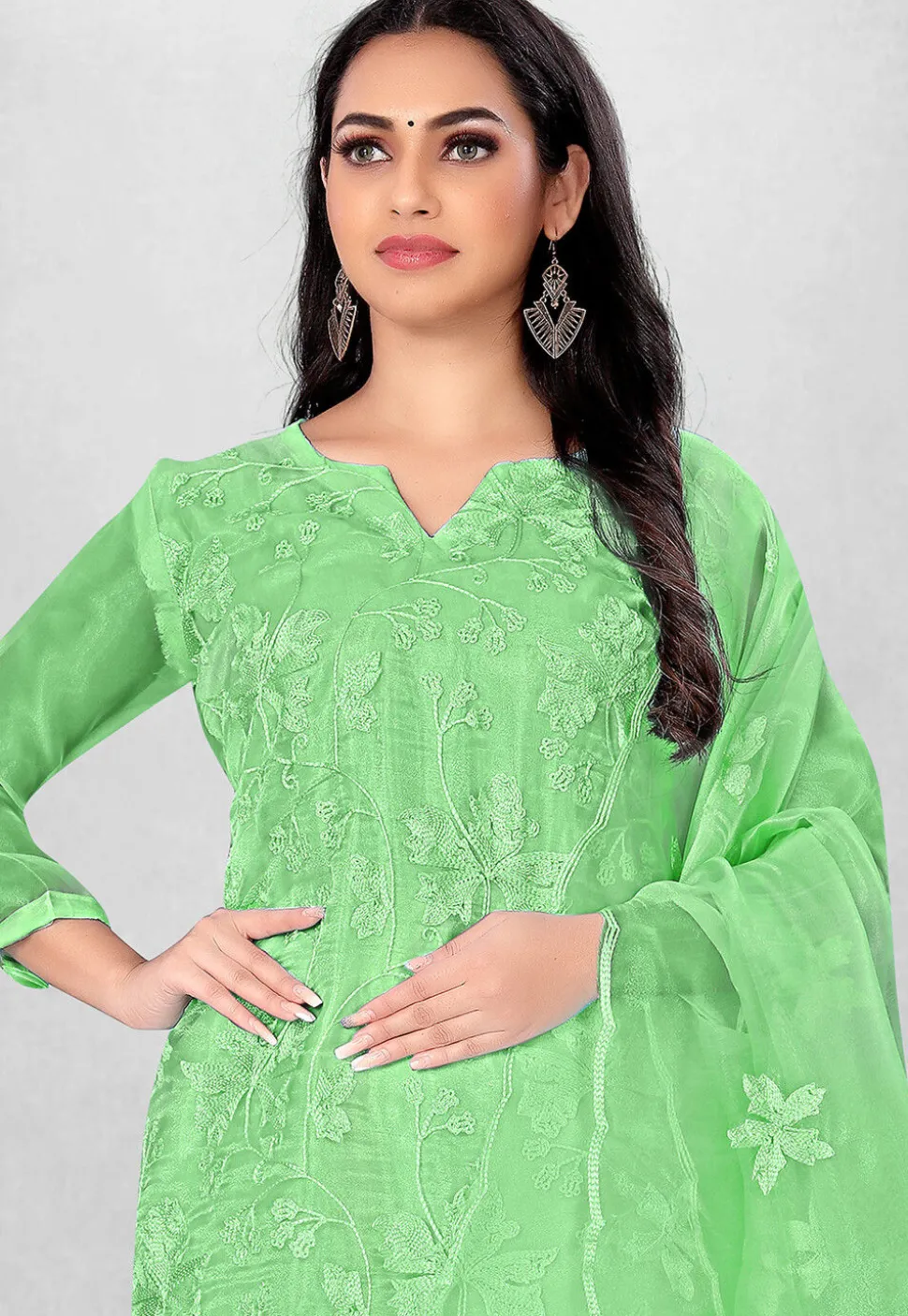Embroidered Organza Straight Suit in Green