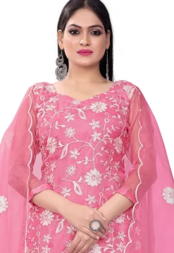 Embroidered Organza Straight Suit in Pink