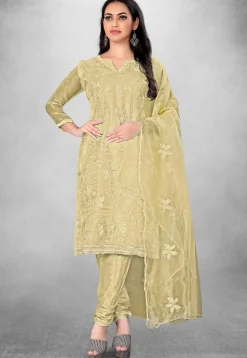 Embroidered Organza Straight Suit in Beige