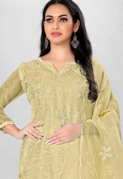 Embroidered Organza Straight Suit in Beige