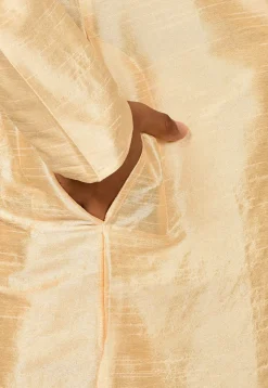 Embroidered Placket Dupion Silk Kurta Set in Light Beige