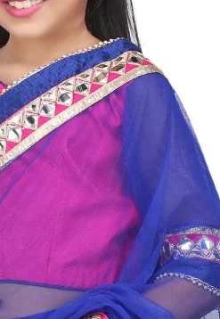Embroidered Pre Stitched Net Saree in Royal Blue