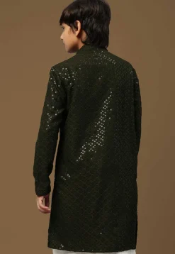Embroidered Pure Cotton Kurta in Dark Olive Green