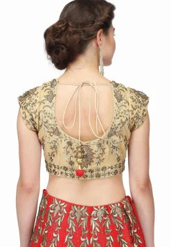Embroidered Raw Silk Lehenga in Red