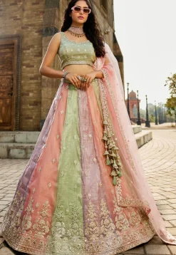 Embroidered Tissue Lehenga in Multicolor