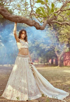 Embroidered Tissue Lehenga in Cream