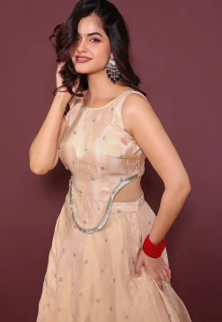 Embroidered Tissue Lehenga in Beige
