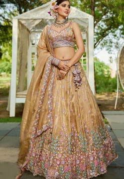 Embroidered Tissue Silk Lehenga in Beige