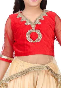 Embroidered Velvet and Net Top with Dhoti Pant in Red