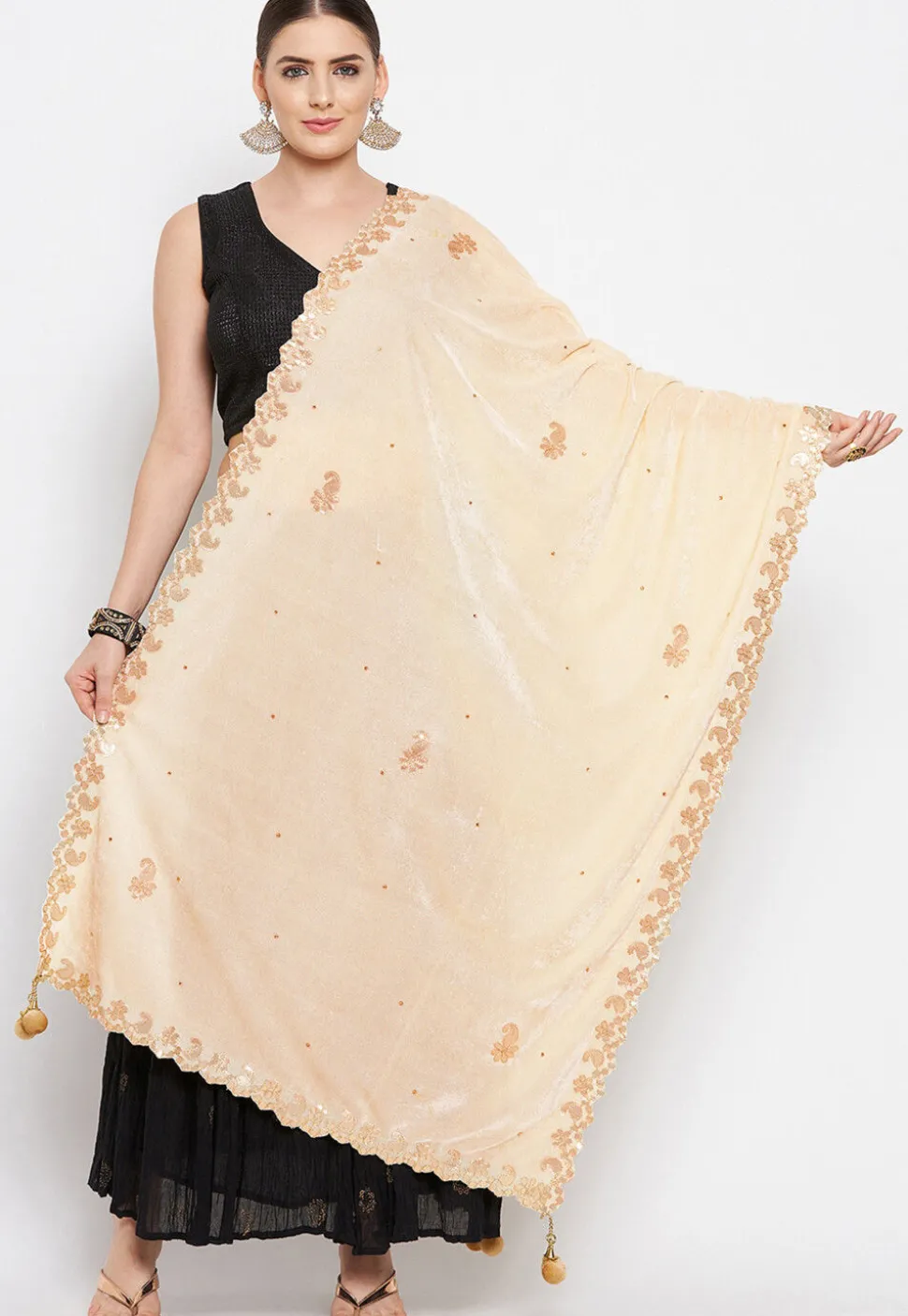 Embroidered Velvet Dupatta in Light Beige