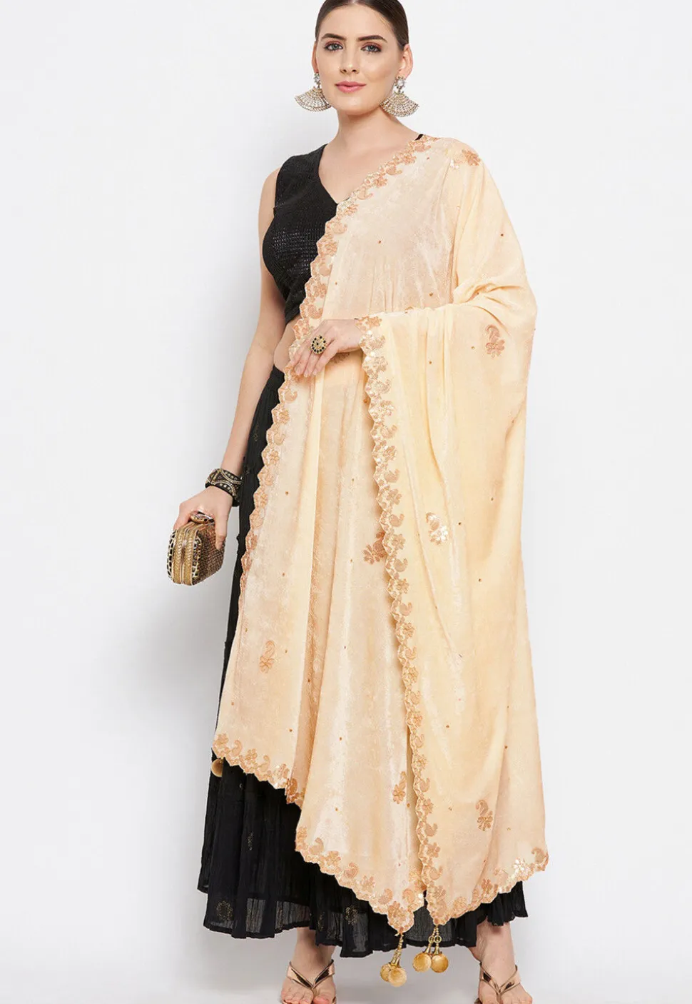 Embroidered Velvet Dupatta in Light Beige