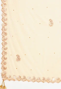 Embroidered Velvet Dupatta in Light Beige