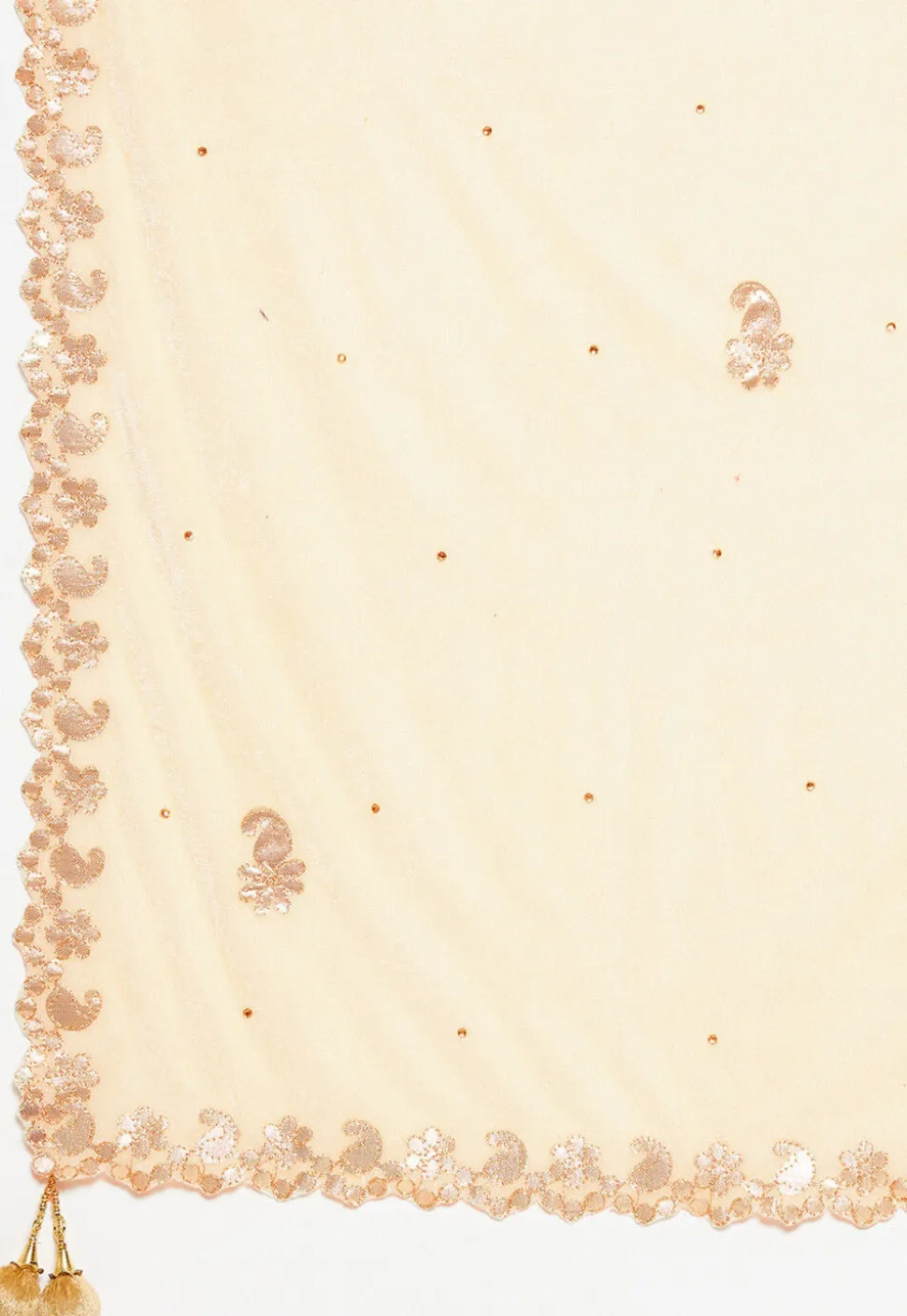 Embroidered Velvet Dupatta in Light Beige