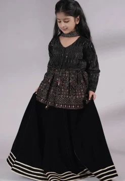 Embroidered Velvet Lehenga in Black
