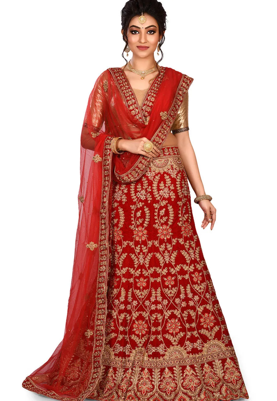 Embroidered Velvet Lehenga in Red
