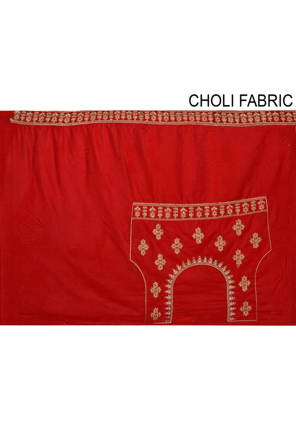 Embroidered Velvet Lehenga in Red