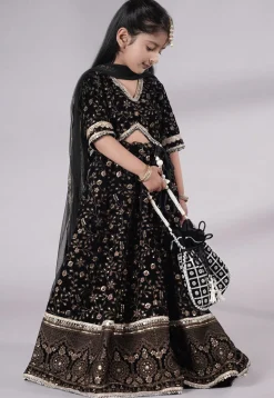 Embroidered Velvet Lehenga in Black