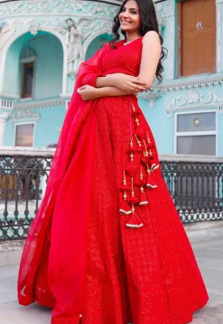 Embroidered Velvet Lehenga in Red