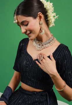 Embroidered Velvet Lehenga in Navy Blue