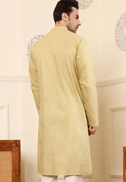 Embroidered Viscose Rayon Kurta in Beige