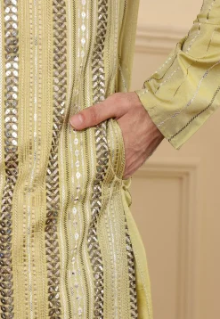 Embroidered Viscose Silk Kurta Set in Light Green
