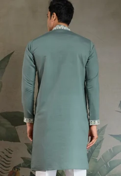 Embroidered Viscose Silk Kurta in Dusty Green