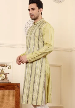 Embroidered Viscose Silk Kurta in Light Green