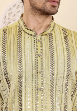 Embroidered Viscose Silk Kurta in Light Green