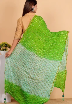Ghatchola Dupatta in Light Green and Sea Green