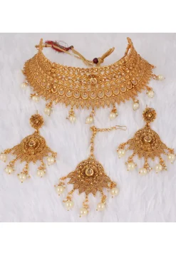 Golden Polished Choker Necklace Set