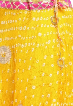Gota Embroidered Taffeta Silk Flared Skirt in Yellow