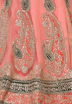Gota Patti Net Circular Lehenga in Peach